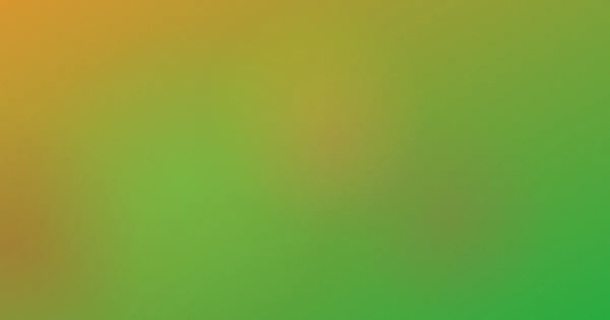 窦骁个人资料对比复盘